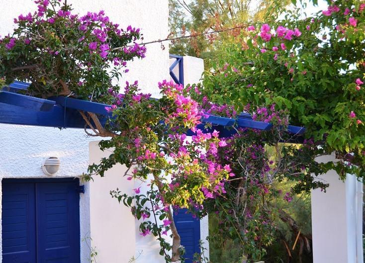 Syros Inn Galissas Eksteriør bilde